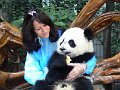 Pandas (004)
